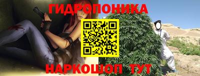 2c-b Лесосибирск