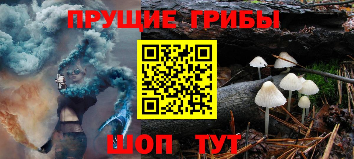 Псилоцибиновые грибы GOLDEN TEACHER  Вход с VPN  Горно-Алтайск 